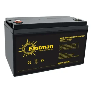 Eastman EM100VB