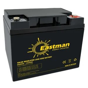 Eastman EM40VB
