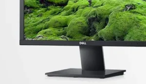 Dell,E2020H