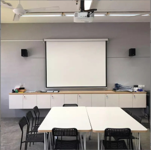  Electric display Screen Projector with wired and non-wired remote 200 x 200 cm